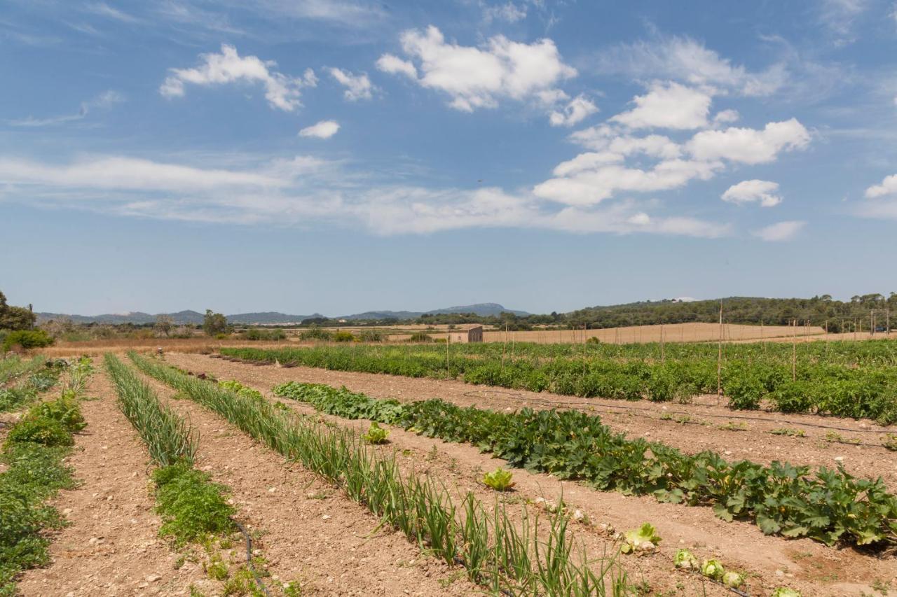 Son Roig Casa rural